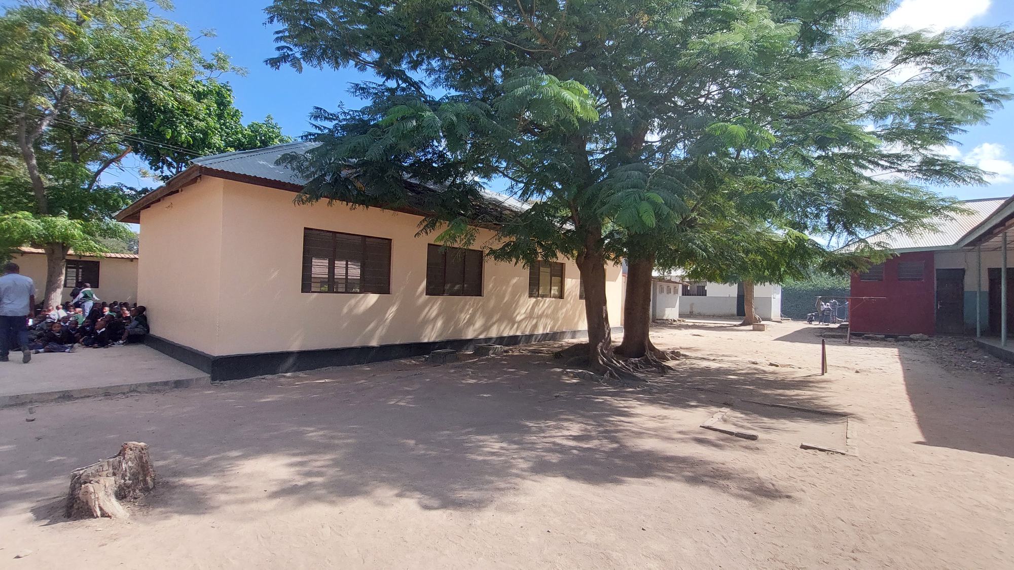 Il grande albero nel cortile della Scuola San Francesco Saverio, a Itigi, in Tanzania Il grande albero nel cortile della Scuola San Francesco Saverio, a Itigi, in Tanzania